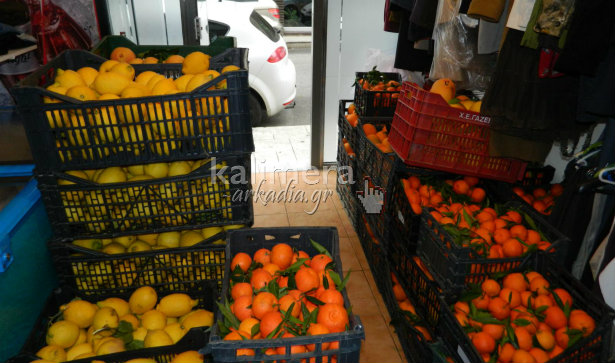 &Delta;ύ&omicron; &tau;ό&nu;&omicron;&iota; &phi;&rho;&omicron;ύ&tau;&alpha; &theta;&alpha; &mu;&omicron;&iota;&rho;&alpha;&sigma;&tau;&omicron;ύ&nu; &sigma;&epsilon; &phi;&tau;&omega;&chi;&omicron;ύ&sigmaf; &alpha;&pi;ό &tau;&eta;&nu; &tau;&omicron;&pi;&iota;&kappa;ή &epsilon;&kappa;&kappa;&lambda;&eta;&sigma;ί&alpha; (vd)!