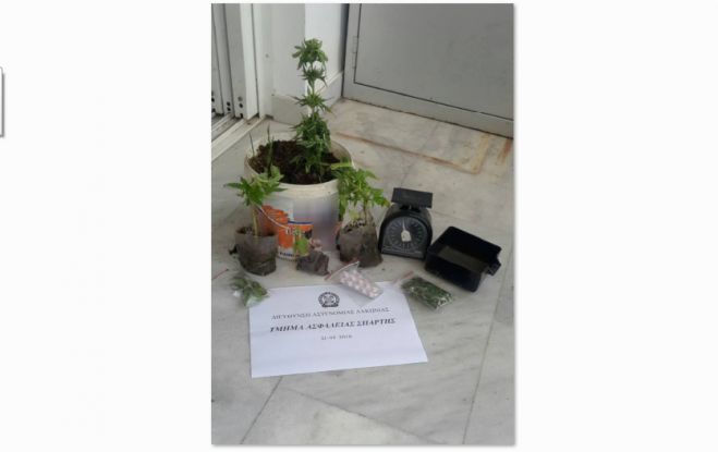 &Phi;&upsilon;&tau;ά &kappa;ά&nu;&nu;&alpha;&beta;&eta;&sigmaf; &sigma;&epsilon; &epsilon;&xi;&omega;&tau;&epsilon;&rho;&iota;&kappa;&omicron;ύ&sigmaf; &chi;ώ&rho;&omicron;&upsilon;&sigmaf; &sigma;&pi;&iota;&tau;&iota;&omicron;ύ &epsilon;&nu;&tau;&omicron;&pi;ί&sigma;&tau;&eta;&kappa;&alpha;&nu; &sigma;&tau;&eta; &Sigma;&pi;ά&rho;&tau;&eta;