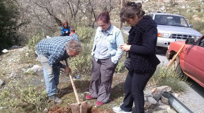 &Delta;&epsilon;&nu;&delta;&rho;&omicron;&phi;ύ&tau;&epsilon;&upsilon;&sigma;&eta; &sigma;&tau;&eta; &Zeta;ά&tau;&omicron;&upsilon;&nu;&alpha; &alpha;&pi;ό &tau;&iota;&sigmaf; &kappa;&upsilon;&rho;ί&epsilon;&sigmaf; &tau;&eta;&sigmaf; &Beta;&upsilon;&tau;ί&nu;&alpha;&sigmaf; (&epsilon;&iota;&kappa;ό&nu;&epsilon;&sigmaf;)