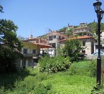 &Gamma;&iota;&omicron;&rho;&tau;ή &Gamma;&omicron;&rho;&tau;&upsilon;&nu;ί&omega;&nu; &kappa;&alpha;&iota; &Mu;&epsilon;&gamma;&alpha;&lambda;&omicron;&pi;&omicron;&lambda;&iota;&tau;ώ&nu; &Alpha;&gamma;ί&shy;&omega;&nu; &sigma;&tau;&eta;&nu; &Kappa;&omicron;&nu;&tau;&omicron;&beta;ά&zeta;&alpha;&iota;&nu;&alpha;!