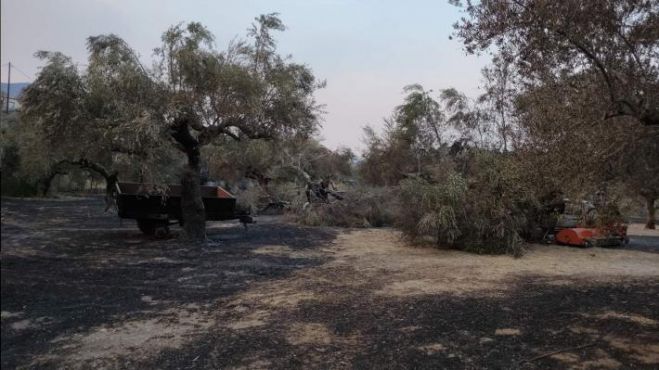 Έξι μέτρα στήριξης για τους αγρότες της πυρόπληκτης Γορτυνίας ζητά ο Παπαηλιού του ΣΥΡΙΖΑ