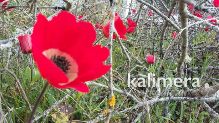 &Tau;&iota; &kappa;&alpha;&iota;&rho;ό &nu;&alpha; &pi;&epsilon;&rho;&iota;&mu;έ&nu;&omicron;&upsilon;&mu;&epsilon; &tau;&omicron; &Sigma;&alpha;&beta;&beta;&alpha;&tau;&omicron;&kappa;ύ&rho;&iota;&alpha;&kappa;&omicron;;