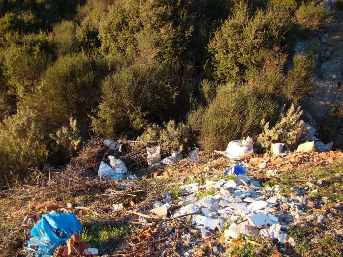 &Pi;έ&tau;&alpha;&xi;&alpha;&nu; &sigma;&kappa;&omicron;&upsilon;&pi;ί&delta;&iota;&alpha; &kappa;&alpha;&iota; &sigma;&tau;&alpha; &Lambda;&alpha;&gamma;&kappa;ά&delta;&iota;&alpha; (&epsilon;&iota;&kappa;ό&nu;&epsilon;&sigmaf;)