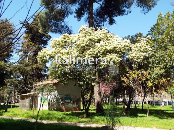 &Kappa;&alpha;&iota;&rho;ό&sigmaf; &mu;&epsilon; &hellip; &sigma;&kappa;&alpha;&mu;&pi;&alpha;&nu;&epsilon;&beta;ά&sigma;&mu;&alpha;&tau;&alpha; &tau;&iota;&sigmaf; &epsilon;&pi;ό&mu;&epsilon;&nu;&epsilon;&sigmaf; &mu;έ&rho;&epsilon;&sigmaf; &sigma;&tau;&eta;&nu; &Alpha;&rho;&kappa;&alpha;&delta;ί&alpha;!