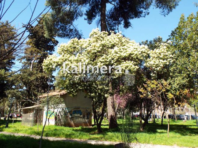 &Kappa;&alpha;&iota;&rho;ό&sigmaf; &mu;&epsilon; &hellip; &sigma;&kappa;&alpha;&mu;&pi;&alpha;&nu;&epsilon;&beta;ά&sigma;&mu;&alpha;&tau;&alpha; &tau;&iota;&sigmaf; &epsilon;&pi;ό&mu;&epsilon;&nu;&epsilon;&sigmaf; &mu;έ&rho;&epsilon;&sigmaf; &sigma;&tau;&eta;&nu; &Alpha;&rho;&kappa;&alpha;&delta;ί&alpha;!