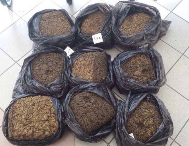 Μεγάλη ποσότητα ναρκωτικών στη Μεσσηνία – Κατασχέθηκαν πάνω από 37 κιλά κάνναβης!