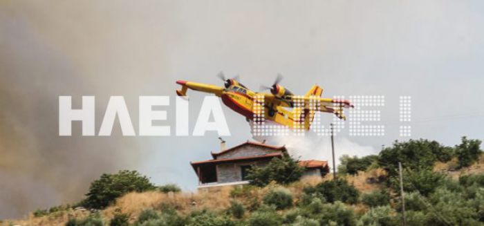 Η συγκλονιστική βουτιά του Canadair για να σώσει σπίτι στα Ροδινά Ηλείας (vd)