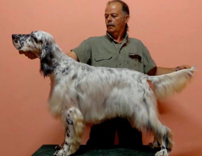 &Kappa;&upsilon;&nu;&eta;&gamma;&epsilon;&tau;&iota;&kappa;ή &Omicron;&mu;&omicron;&sigma;&pi;&omicron;&nu;&delta;ί&alpha; &Pi;&epsilon;&lambda;&omicron;&pi;&omicron;&nu;&nu;ή&sigma;&omicron;&upsilon; | &Sigma;&upsilon;&lambda;&lambda;&upsilon;&pi;&eta;&tau;ή&rho;&iota;&alpha; &gamma;&iota;&alpha; &tau;&omicron;&nu; &theta;ά&nu;&alpha;&tau;&omicron; &tau;&omicron;&upsilon; &Nu;&tau;&omicron;ύ&lambda;&omicron;&upsilon; &Delta;&iota;&omicron;&nu;ύ&sigma;&iota;&omicron;&upsilon;