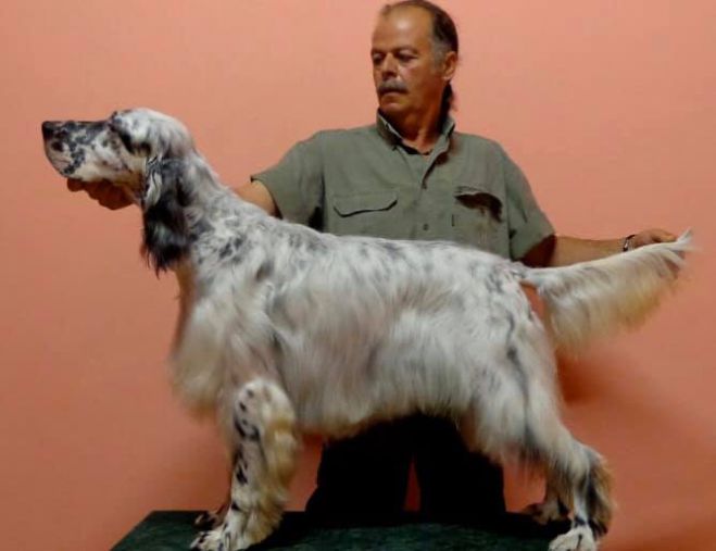 &Kappa;&upsilon;&nu;&eta;&gamma;&epsilon;&tau;&iota;&kappa;ή &Omicron;&mu;&omicron;&sigma;&pi;&omicron;&nu;&delta;ί&alpha; &Pi;&epsilon;&lambda;&omicron;&pi;&omicron;&nu;&nu;ή&sigma;&omicron;&upsilon; | &Sigma;&upsilon;&lambda;&lambda;&upsilon;&pi;&eta;&tau;ή&rho;&iota;&alpha; &gamma;&iota;&alpha; &tau;&omicron;&nu; &theta;ά&nu;&alpha;&tau;&omicron; &tau;&omicron;&upsilon; &Nu;&tau;&omicron;ύ&lambda;&omicron;&upsilon; &Delta;&iota;&omicron;&nu;ύ&sigma;&iota;&omicron;&upsilon;