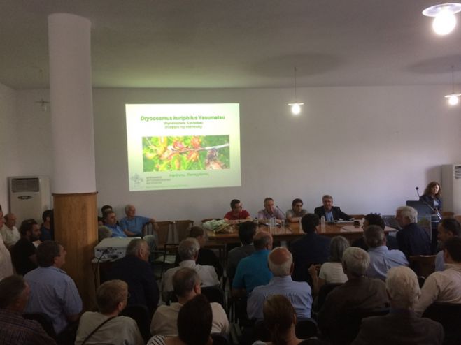 Η Περιφέρεια δεσμεύθηκε ότι θα αναλάβει το κόστος αντιμετώπισης της σφήκας της καστανιάς