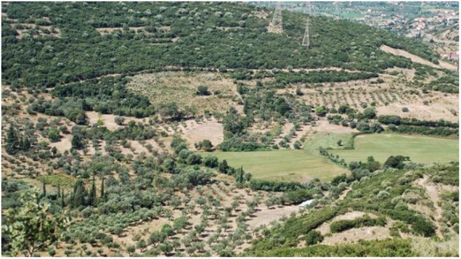 Αρκαδία | Παράταση υποβολής αντιρρήσεων για τους Δασικούς Χάρτες