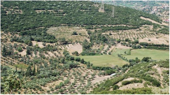 Αρκαδία | Παράταση υποβολής αντιρρήσεων για τους Δασικούς Χάρτες