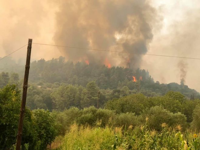 Γορτυνία | Η φωτιά πέρασε την εθνική οδό &quot;Τρίπολης - Πύργου&quot; - Ασταμάτητες εκκλήσεις για εναέρια μέσα - &quot;Καιγόμαστε&quot;