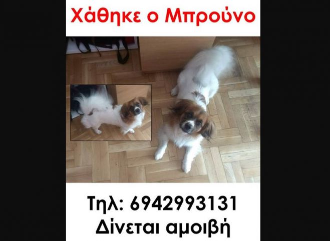 &Chi;ά&theta;&eta;&kappa;&epsilon; &omicron; &Mu;&pi;&rho;&omicron;ύ&nu;&omicron; - &Delta;ί&nu;&epsilon;&tau;&alpha;&iota; &alpha;&mu;&omicron;&iota;&beta;ή &sigma;&epsilon; ό&pi;&omicron;&iota;&omicron;&nu; &tau;&omicron;&nu; &beta;&rho;&epsilon;&iota;!