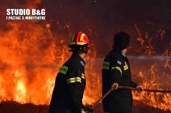 Πυρκαγιά στην Αργολίδα - Κινδύνεψαν σπίτια! (vd)