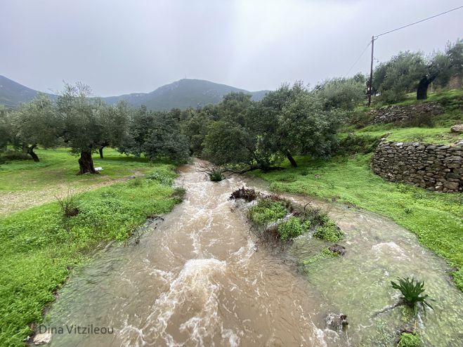Άφθονο νερό στο ρέμα της Μάνας στα Πούλιθρα Κυνουρίας (vd)