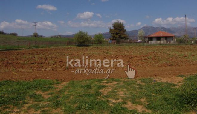 Διακήρυξη μειοδοτικής δημοπρασίας για τη μίσθωση έκτασης, για τη λειτουργία του Δημοτικού Λαχανόκηπου Τρίπολης