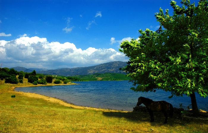 Στα &quot;θαλάσσια σύνορα&quot; της Γορτυνίας...