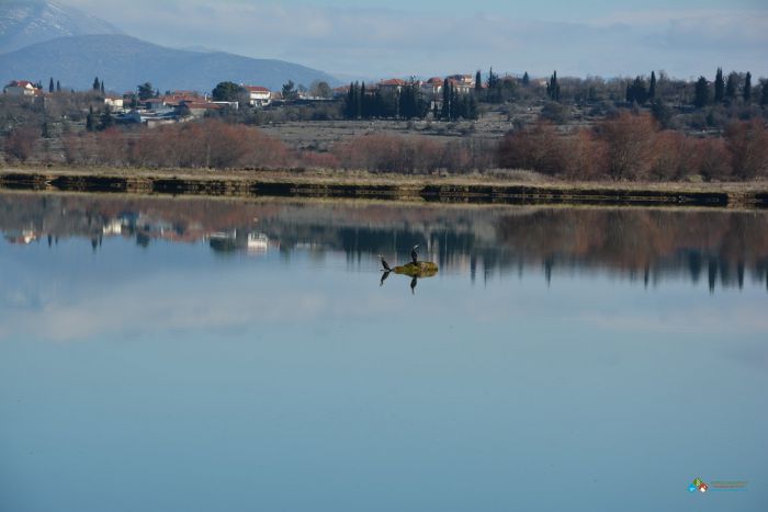 &Omicron;&lambda;&omicron;&kappa;&lambda;ή&rho;&omega;&sigma;&eta; &tau;&omega;&nu; έ&rho;&gamma;&omega;&nu; &sigma;&tau;&omicron;&nu; &tau;&alpha;&mu;&iota;&epsilon;&upsilon;&tau;ή&rho;&alpha; &tau;&eta;&sigmaf; &Tau;ά&kappa;&alpha;&sigmaf; &zeta;&eta;&tau;ά &eta; &pi;&alpha;&rho;ά&tau;&alpha;&xi;&eta; &Pi;&epsilon;&tau;&rho;ά&kappa;&omicron;&upsilon;