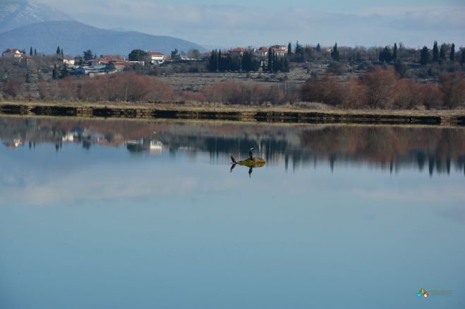 &Omicron;&lambda;&omicron;&kappa;&lambda;ή&rho;&omega;&sigma;&eta; &tau;&omega;&nu; έ&rho;&gamma;&omega;&nu; &sigma;&tau;&omicron;&nu; &tau;&alpha;&mu;&iota;&epsilon;&upsilon;&tau;ή&rho;&alpha; &tau;&eta;&sigmaf; &Tau;ά&kappa;&alpha;&sigmaf; &zeta;&eta;&tau;ά &eta; &pi;&alpha;&rho;ά&tau;&alpha;&xi;&eta; &Pi;&epsilon;&tau;&rho;ά&kappa;&omicron;&upsilon;