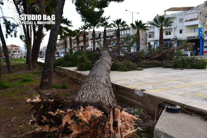 Τεράστιες ζημιές από τους πολύ ισχυρούς ανέμους στην Αργολίδα (vd)