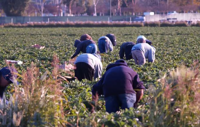 &Kappa;&omicron;&rho;&omega;&nu;&omicron;ϊό&sigmaf; | &Upsilon;&gamma;&epsilon;&iota;&omicron;&nu;&omicron;&mu;&iota;&kappa;&omicron;ύ&sigmaf; &epsilon;&lambda;έ&gamma;&chi;&omicron;&upsilon;&sigmaf; &sigma;&epsilon; &epsilon;&rho;&gamma;ά&tau;&epsilon;&sigmaf; &gamma;&eta;&sigmaf; &sigma;&tau;&omicron; &Lambda;&epsilon;&omega;&nu;ί&delta;&iota;&omicron; &zeta;&eta;&tau;ά &eta; &Pi;&epsilon;&rho;&iota;&phi;έ&rho;&epsilon;&iota;&alpha;!