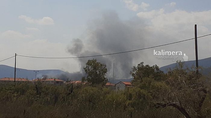 "&Alpha;&pi;&alpha;&iota;&tau;&omicron;ύ&mu;&epsilon; ά&mu;&epsilon;&sigma;&alpha; &nu;&alpha; &delta;&iota;&epsilon;&rho;&epsilon;&upsilon;&nu;&eta;&theta;&omicron;ύ&nu; &omicron;&iota; &alpha;&iota;&tau;ί&epsilon;&sigmaf; &tau;&eta;&sigmaf; &sigma;&upsilon;&gamma;&kappa;&epsilon;&kappa;&rho;&iota;&mu;έ&nu;&eta;&sigmaf; &pi;&upsilon;&rho;&kappa;&alpha;&gamma;&iota;ά&sigmaf; &sigma;&tau;&omicron; Ά&sigma;&tau;&rho;&omicron;&sigmaf;"