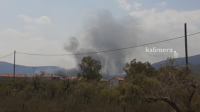 "&Alpha;&pi;&alpha;&iota;&tau;&omicron;ύ&mu;&epsilon; ά&mu;&epsilon;&sigma;&alpha; &nu;&alpha; &delta;&iota;&epsilon;&rho;&epsilon;&upsilon;&nu;&eta;&theta;&omicron;ύ&nu; &omicron;&iota; &alpha;&iota;&tau;ί&epsilon;&sigmaf; &tau;&eta;&sigmaf; &sigma;&upsilon;&gamma;&kappa;&epsilon;&kappa;&rho;&iota;&mu;έ&nu;&eta;&sigmaf; &pi;&upsilon;&rho;&kappa;&alpha;&gamma;&iota;ά&sigmaf; &sigma;&tau;&omicron; Ά&sigma;&tau;&rho;&omicron;&sigmaf;"