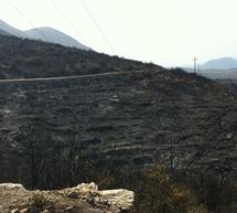 Σχέδιο εμπρησμού πίσω από τις μεγάλες πυρκαγιές στην Αρκαδία; (video)