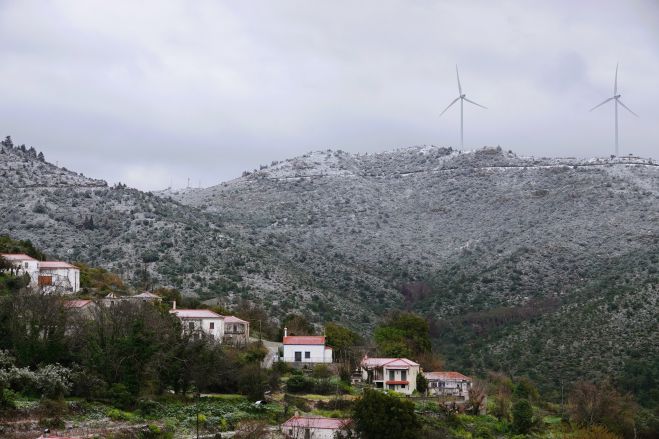 &Alpha;&rho;&kappa;&alpha;&delta;ί&alpha; | &Theta;&alpha; &delta;&omicron;ύ&mu;&epsilon; &chi;&iota;ό&nu;&iota;&alpha; &kappa;&omicron;&nu;&tau;ά &sigma;&tau;&eta;&nu; &Pi;&rho;&omega;&tau;&omicron;&chi;&rho;&omicron;&nu;&iota;ά;