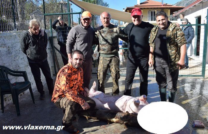 Η "γουρνοσφαγή" αναβίωσε στη Βλαχέρνα (εικόνες)