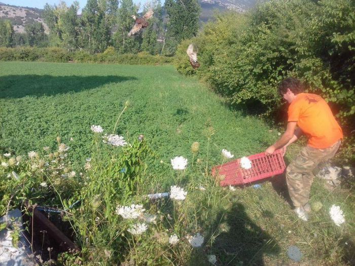 &Kappa;&upsilon;&nu;&eta;&gamma;&epsilon;&tau;&iota;&kappa;ό&sigmaf; &Sigma;ύ&lambda;&lambda;&omicron;&gamma;&omicron;&sigmaf; &Beta;&upsilon;&tau;ί&nu;&alpha;&sigmaf; | &Alpha;&pi;&epsilon;&lambda;&epsilon;&upsilon;&theta;έ&rho;&omega;&sigma;&epsilon; 200 &phi;&alpha;&sigma;&iota;&alpha;&nu;&omicron;ύ&sigmaf;!