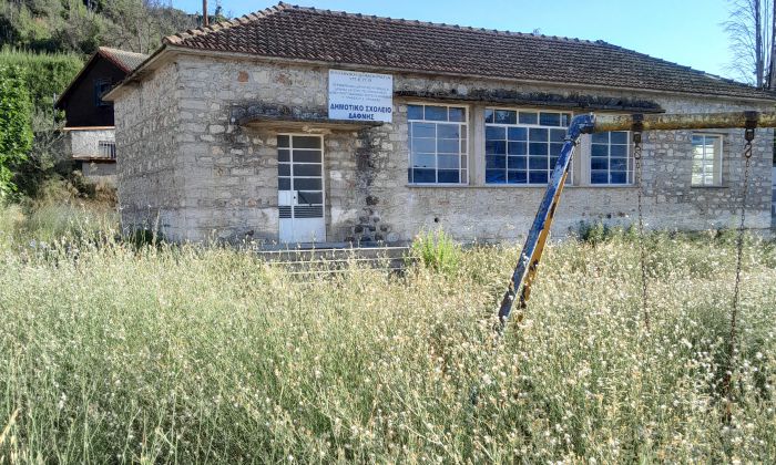 Ξερά χόρτα και κίνδυνος πυρκαγιάς στη Νέα Δάφνη | Δήμαρχος Γορτυνίας: "Αφού δεν έχουν φτάσει οι εικόνες στις υπηρεσίες του Δήμου, δεν με ενδιαφέρει"