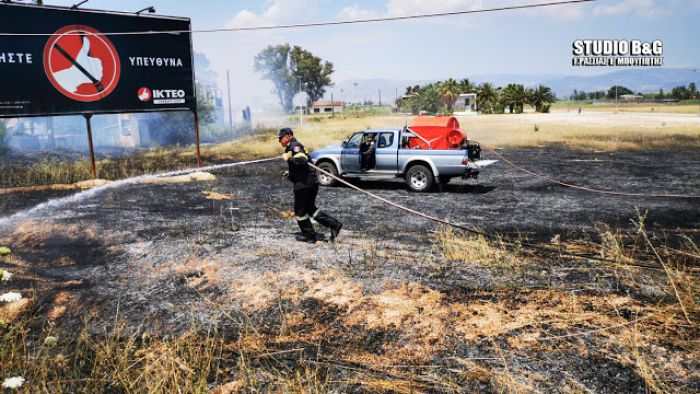 Πυρκαγιά στην παραλιακή Ναυπλίου Νέας Κίου