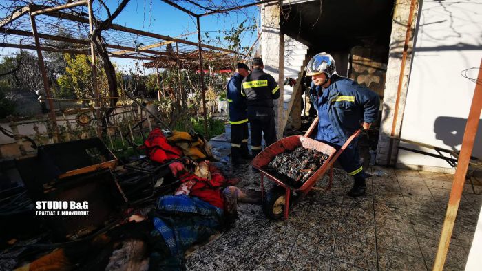 &Sigma;&omicron;&kappa; &sigma;&tau;&eta;&nu; &Alpha;&rho;&gamma;&omicron;&lambda;ί&delta;&alpha; | &Nu;&epsilon;&kappa;&rho;ά &delta;ύ&omicron; &alpha;&delta;έ&lambda;&phi;&iota;&alpha; &alpha;&pi;ό &pi;&upsilon;&rho;&kappa;&alpha;&gamma;&iota;ά &sigma;&tau;&omicron; &sigma;&pi;ί&tau;&iota; &tau;&omicron;&upsilon;&sigmaf; (vd)