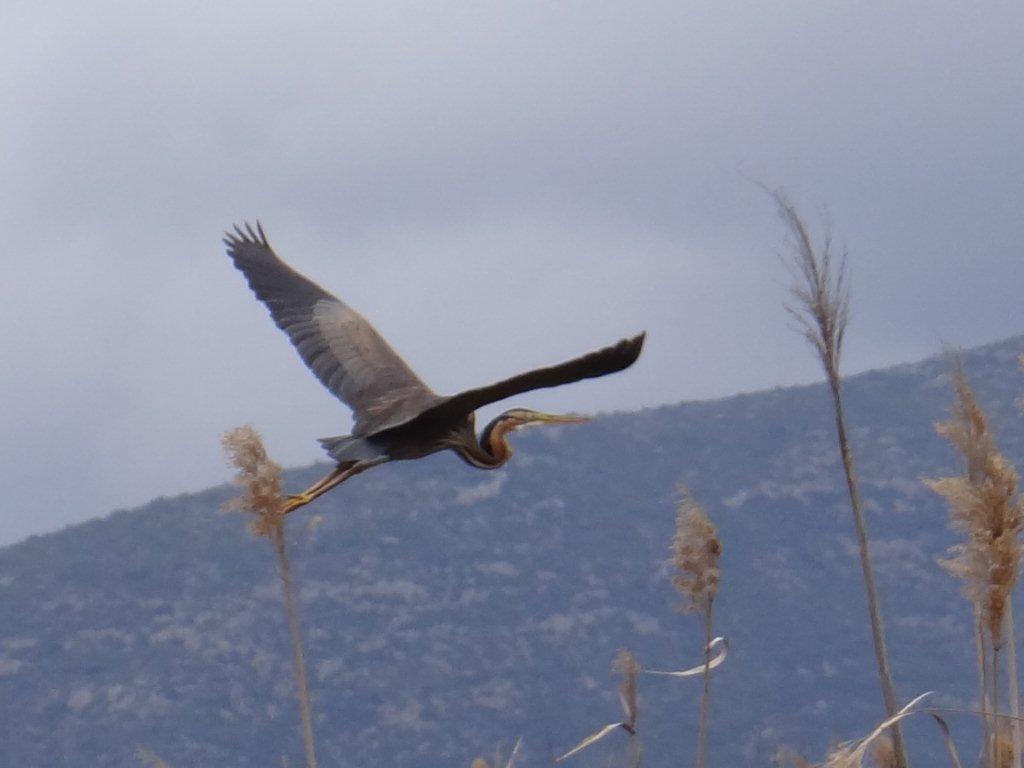 &laquo;&Epsilon;&lambda;ά&tau;&epsilon; &nu;&alpha; &gamma;&nu;&omega;&rho;ί&sigma;&epsilon;&tau;&epsilon; &alpha;&pi;ό &kappa;&omicron;&nu;&tau;ά &tau;&omicron;&nu; &upsilon;&gamma;&rho;ό&tau;&omicron;&pi;&omicron; &Mu;&omicron;&upsilon;&sigma;&tau;&omicron;ύ&raquo;! (&epsilon;&iota;&kappa;ό&nu;&epsilon;&sigmaf;)