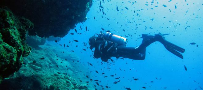 &Nu;ό&tau;&iota;&alpha; &Kappa;&upsilon;&nu;&omicron;&upsilon;&rho;ί&alpha; - &Kappa;&alpha;&theta;&alpha;&rho;ά &tau;&alpha; &nu;&epsilon;&rho;ά &tau;&omega;&nu; &alpha;&kappa;&tau;ώ&nu; &kappa;&omicron;&lambda;ύ&mu;&beta;&eta;&sigma;&eta;&sigmaf;