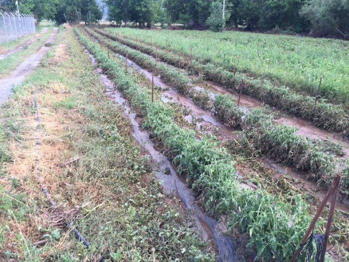 &Pi;&alpha;&lambda;&lambda;ά&nu;&tau;&iota;&omicron; - 24 ώ&rho;&epsilon;&sigmaf; &mu;&epsilon;&tau;ά &tau;&eta;&nu; &kappa;&alpha;&tau;&alpha;&iota;&gamma;ί&delta;&alpha; ... (&epsilon;&iota;&kappa;ό&nu;&epsilon;&sigmaf;)