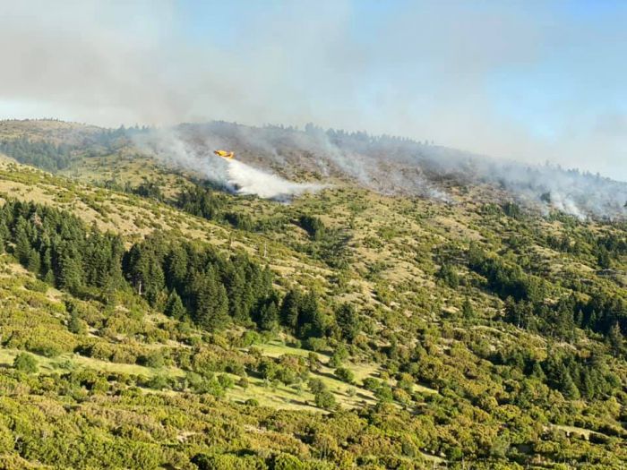 Η Πολιτική Προστασία του Δήμου Τρίπολης στη μάχη κατάσβεσης της πυρκαγιάς στο Μαίναλο