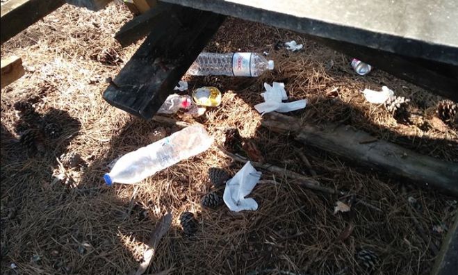 Τρίπολη | Εθελοντικός καθαρισμός στο Άλσος Παναρκάδων