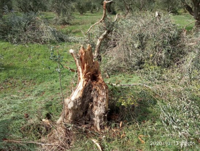 &ldquo;&Sigma;ά&rho;&omega;&sigma;&epsilon;&rdquo; &alpha;&nu;&epsilon;&mu;&omicron;&sigma;&tau;&rho;ό&beta;&iota;&lambda;&omicron;&sigmaf; &tau;&eta; &Delta;&upsilon;&tau;&iota;&kappa;ή &Mu;&epsilon;&sigma;&sigma;&eta;&nu;ί&alpha;