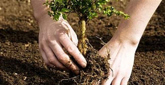 &Sigma;&tau;&eta;&nu; &alpha;&nu;&alpha;&delta;ά&sigma;&omega;&sigma;&eta; &tau;&omicron;&upsilon; &Mu;&alpha;&iota;&nu;ά&lambda;&omicron;&upsilon; &kappa;&alpha;&iota; &omicron; &Sigma;&Alpha;&Omicron;&Omicron;!