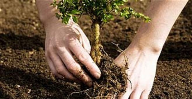 &Sigma;&tau;&eta;&nu; &alpha;&nu;&alpha;&delta;ά&sigma;&omega;&sigma;&eta; &tau;&omicron;&upsilon; &Mu;&alpha;&iota;&nu;ά&lambda;&omicron;&upsilon; &kappa;&alpha;&iota; &omicron; &Sigma;&Alpha;&Omicron;&Omicron;!