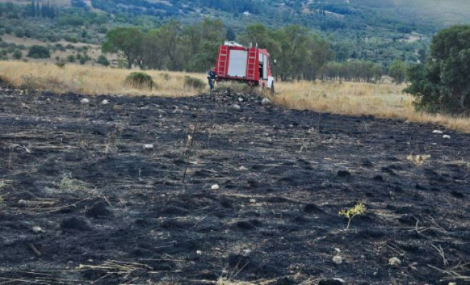 &Sigma;&beta;ή&sigma;&tau;&eta;&kappa;&epsilon; ά&mu;&epsilon;&sigma;&alpha; &eta; &phi;&omega;&tau;&iota;ά &sigma;&tau;&omicron; &Pi;&iota;&kappa;έ&rho;&nu;&iota; (&epsilon;&iota;&kappa;ό&nu;&epsilon;&sigmaf;)