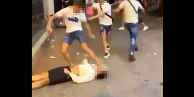 Ά&gamma;&rho;&iota;&omicron; &xi;ύ&lambda;&omicron; &alpha;&nu;ά&mu;&epsilon;&sigma;&alpha; &sigma;&epsilon; &Omicron;&lambda;&lambda;&alpha;&nu;&delta;&omicron;ύ&sigmaf; &tau;&omicron;&upsilon;&rho;ί&sigma;&tau;&epsilon;&sigmaf; &sigma;&tau;&eta;&nu; &Kappa;&rho;ή&tau;&eta; (vd)