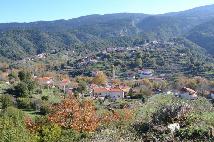 Νέα διοίκηση στην Αδελφότητα Δυρραχιτών Αττικής