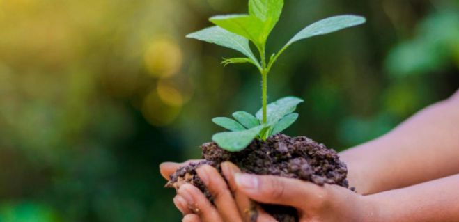 &Eta; &kappa;&lambda;&iota;&mu;&alpha;&tau;&iota;&kappa;ή &kappa;&rho;ί&sigma;&eta; &tau;&rho;&omicron;&phi;&omicron;&delta;&omicron;&tau;&epsilon;ί &kappa;&omicron;&iota;&nu;&omega;&nu;&iota;&kappa;έ&sigmaf; &alpha;&lambda;&lambda;&alpha;&gamma;έ&sigmaf; &kappa;&alpha;&iota; &alpha;&nu;&iota;&sigma;ό&tau;&eta;&tau;&epsilon;&sigmaf;