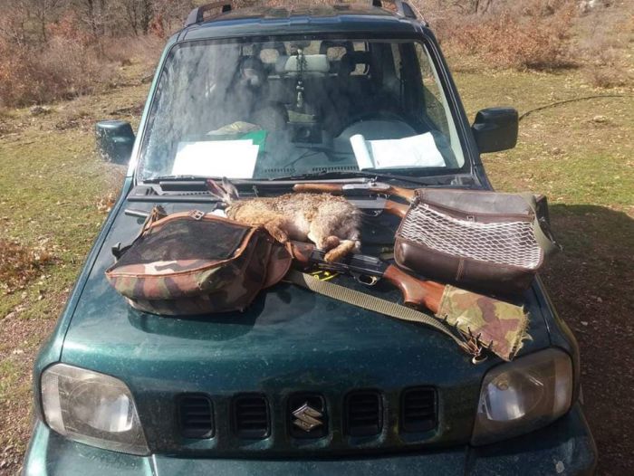 &Mu;ή&nu;&upsilon;&sigma;&eta; &gamma;&iota;&alpha; &pi;&alpha;&rho;ά&nu;&omicron;&mu;&omicron; &kappa;&upsilon;&nu;ή&gamma;&iota; &lambda;&alpha;&gamma;&omicron;ύ &sigma;&tau;&alpha; &Kappa;&alpha;&lambda;ά&beta;&rho;&upsilon;&tau;&alpha;