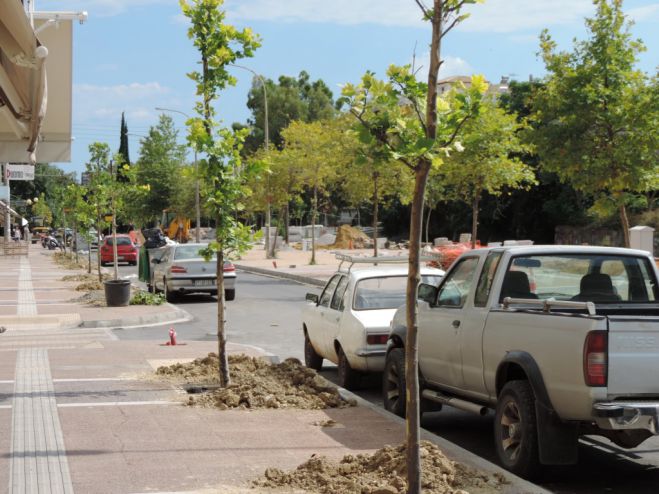 Χίλια δένδρα στην Καλαμάτα ως τα Χριστούγεννα!