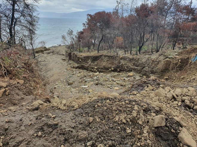 &Pi;&rho;&omicron;&beta;&lambda;ή&mu;&alpha;&tau;&alpha; &sigma;&tau;&eta; &delta;&upsilon;&tau;&iota;&kappa;ή &Gamma;&omicron;&rho;&tau;&upsilon;&nu;ί&alpha; &pi;&rho;&omicron;&kappa;ά&lambda;&epsilon;&sigma;&epsilon; &eta; &kappa;&alpha;&kappa;&omicron;&kappa;&alpha;&iota;&rho;ί&alpha;